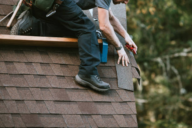 Roof Gutter Cleaning in East Griffin, GA